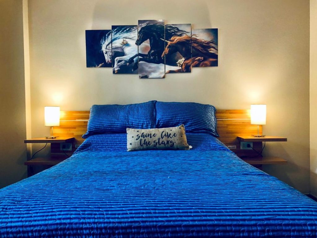 12 Mejores Hoteles 5 Estrellas en Buenos Aires 4. Luciana Palermo Soho