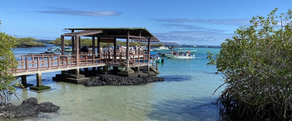 Puerto Villamil, Isla Isabela (Albemarle), the Galápagos Islands, Ecuador.